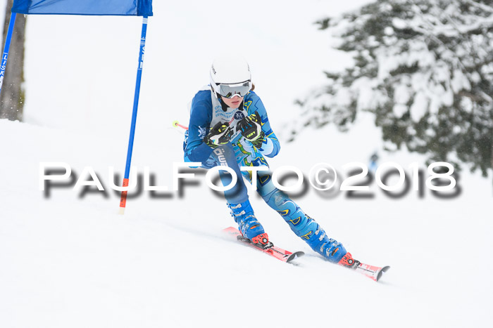Münchner Skimeisterschaft 2018