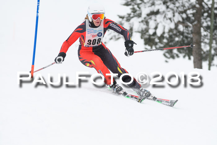 Münchner Skimeisterschaft 2018