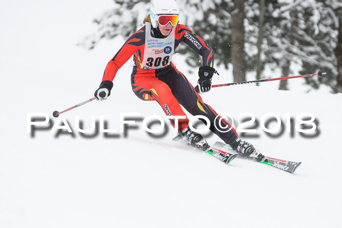 Münchner Skimeisterschaft 2018