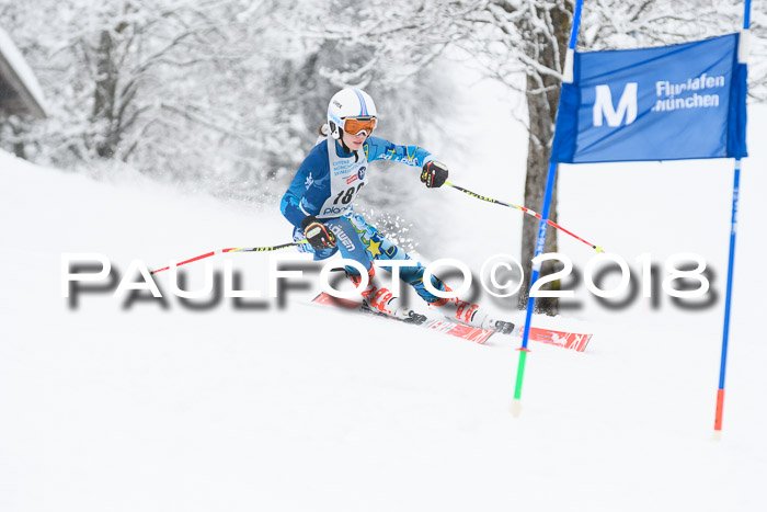 Münchner Skimeisterschaft 2018