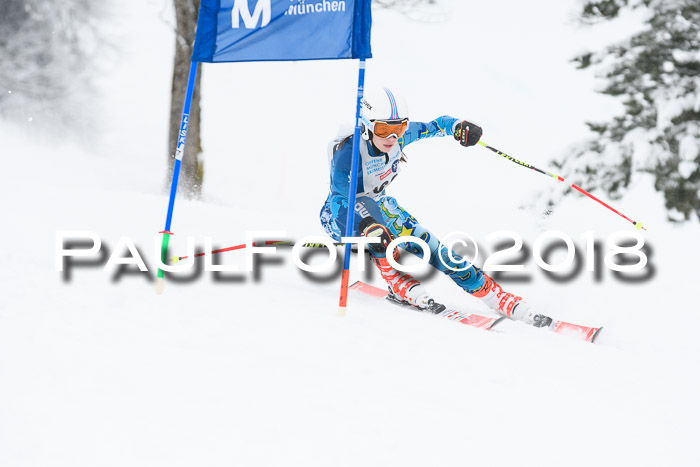 Münchner Skimeisterschaft 2018