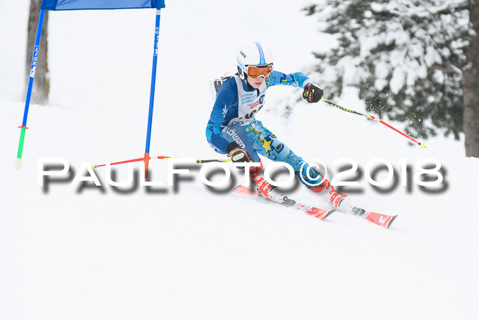 Münchner Skimeisterschaft 2018
