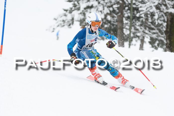 Münchner Skimeisterschaft 2018