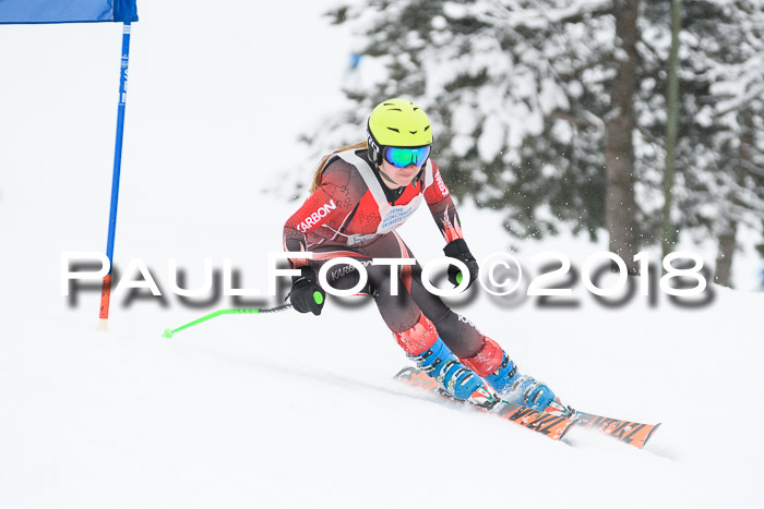Münchner Skimeisterschaft 2018