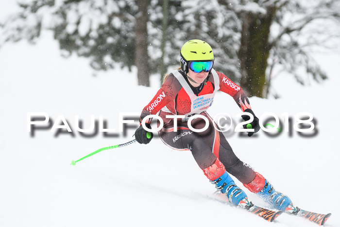 Münchner Skimeisterschaft 2018