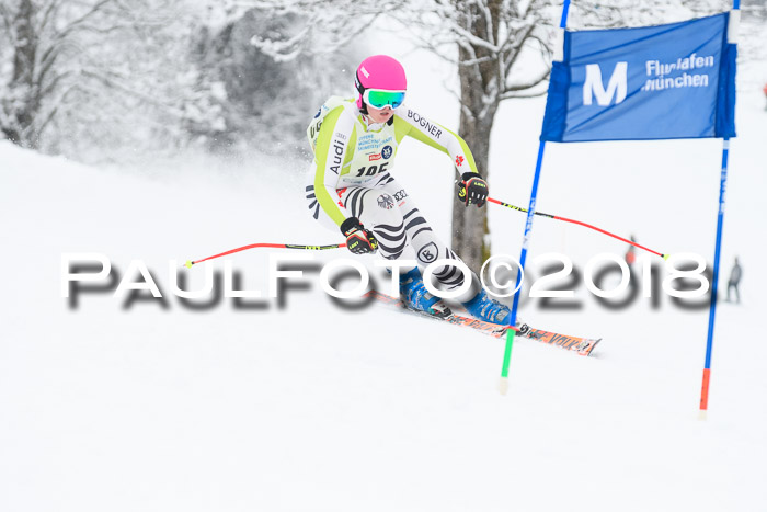 Münchner Skimeisterschaft 2018