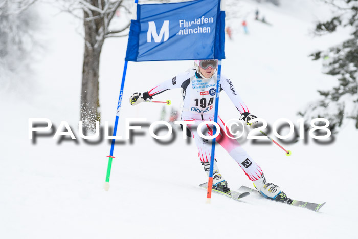 Münchner Skimeisterschaft 2018