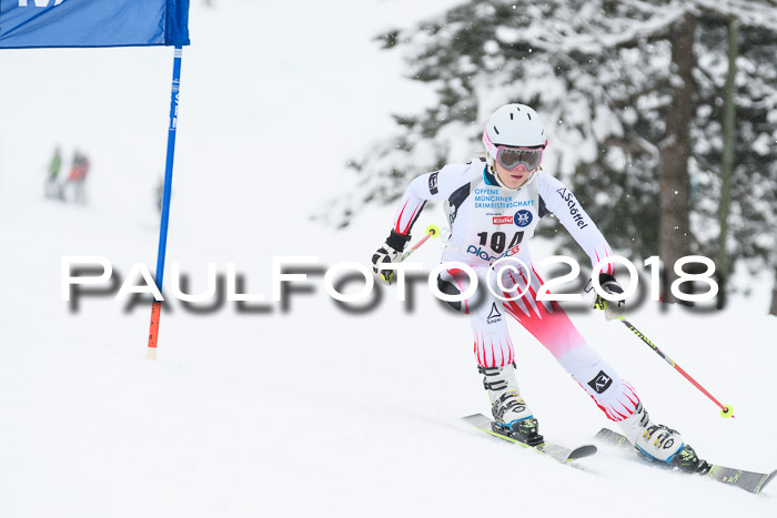 Münchner Skimeisterschaft 2018