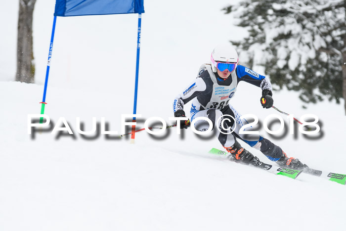 Münchner Skimeisterschaft 2018