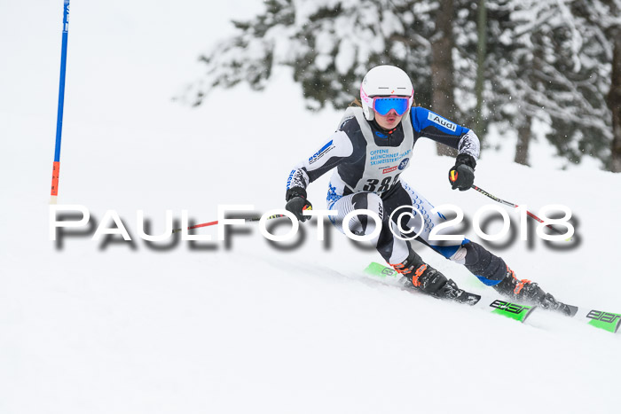 Münchner Skimeisterschaft 2018