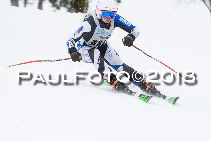 Münchner Skimeisterschaft 2018