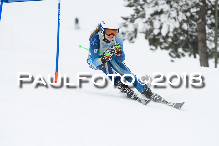 Münchner Skimeisterschaft 2018