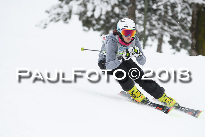 Münchner Skimeisterschaft 2018