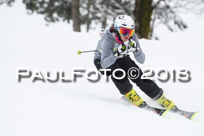 Münchner Skimeisterschaft 2018