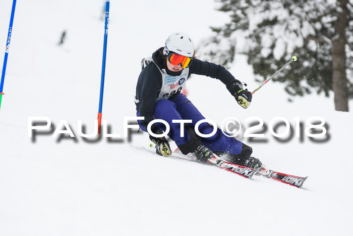 Münchner Skimeisterschaft 2018