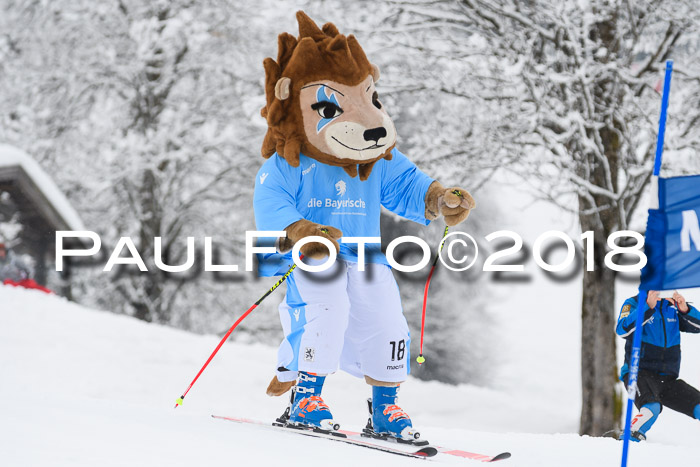Münchner Skimeisterschaft 2018