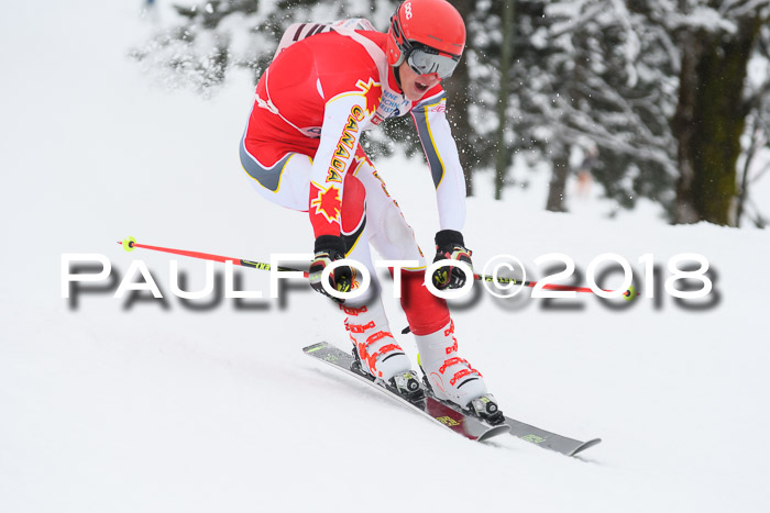 Münchner Skimeisterschaft 2018