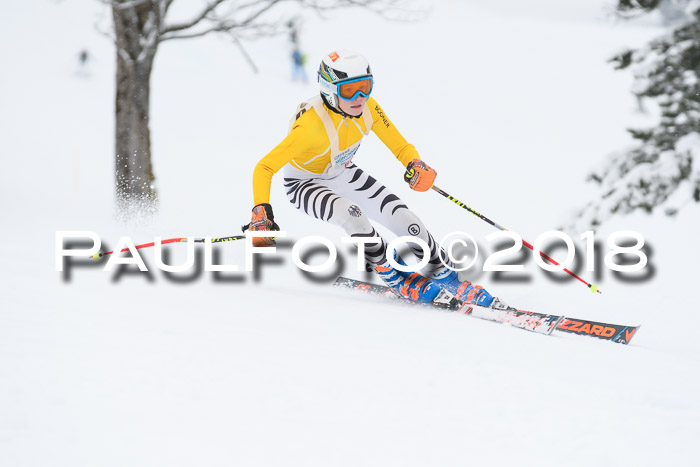Münchner Skimeisterschaft 2018