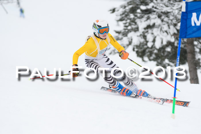Münchner Skimeisterschaft 2018