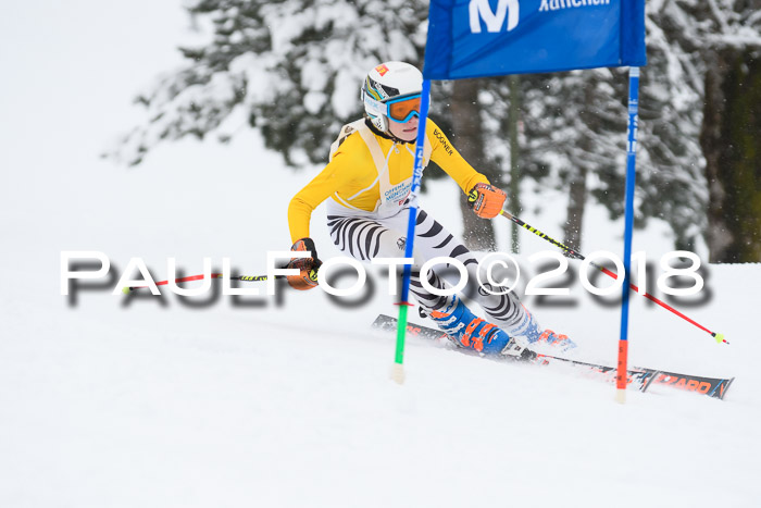 Münchner Skimeisterschaft 2018