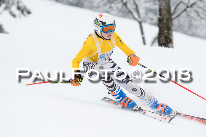 Münchner Skimeisterschaft 2018