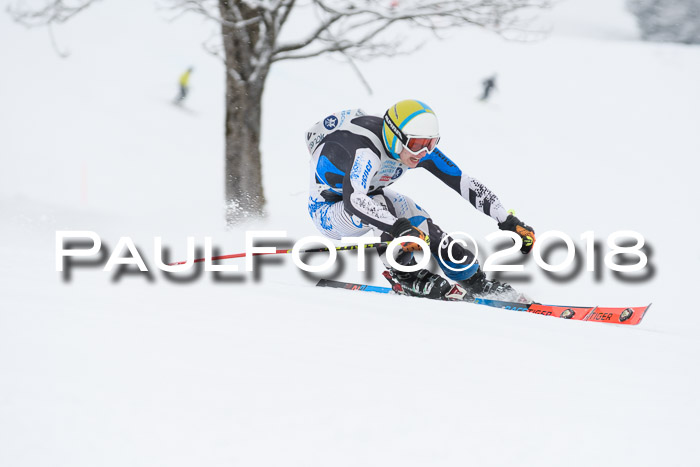 Münchner Skimeisterschaft 2018