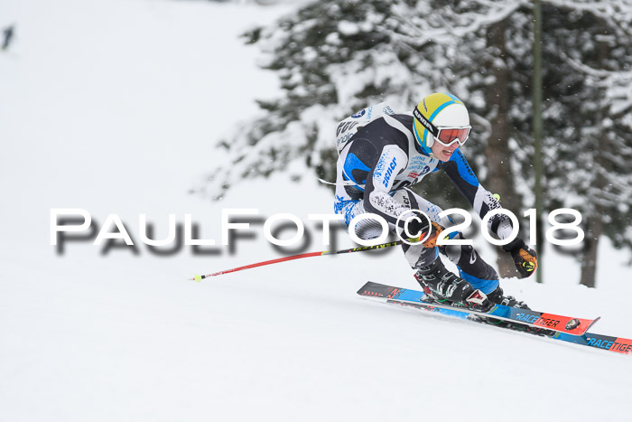 Münchner Skimeisterschaft 2018