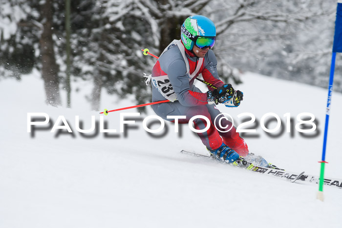 Münchner Skimeisterschaft 2018