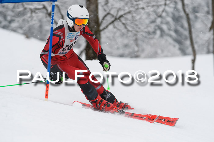 Münchner Skimeisterschaft 2018