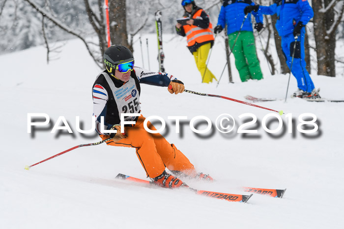 Münchner Skimeisterschaft 2018