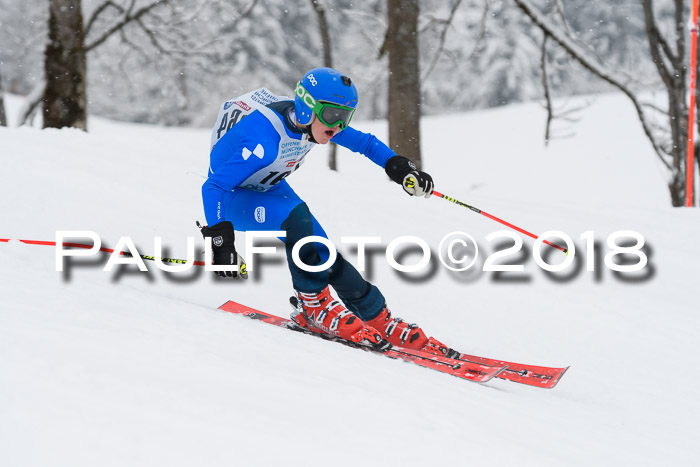 Münchner Skimeisterschaft 2018