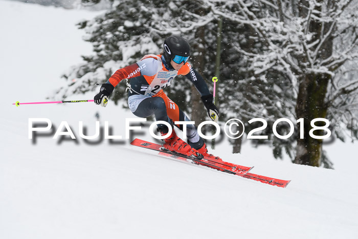 Münchner Skimeisterschaft 2018
