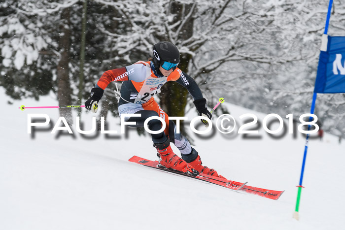 Münchner Skimeisterschaft 2018