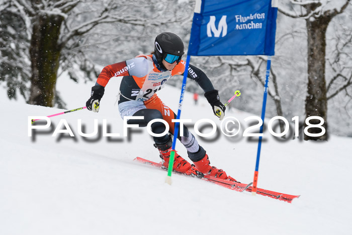 Münchner Skimeisterschaft 2018