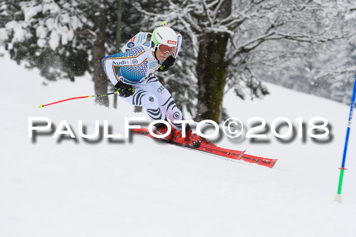 Münchner Skimeisterschaft 2018