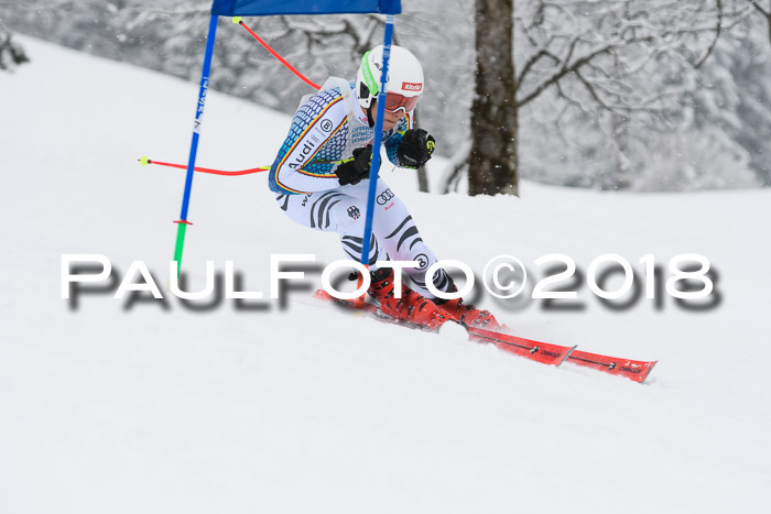 Münchner Skimeisterschaft 2018