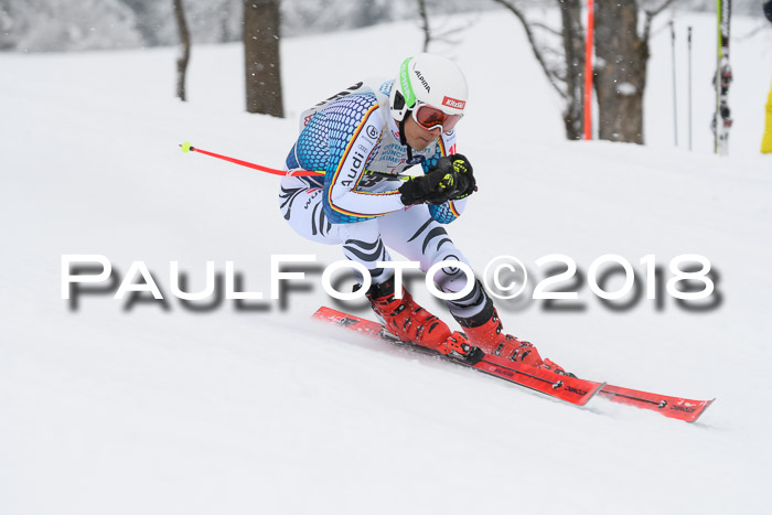 Münchner Skimeisterschaft 2018