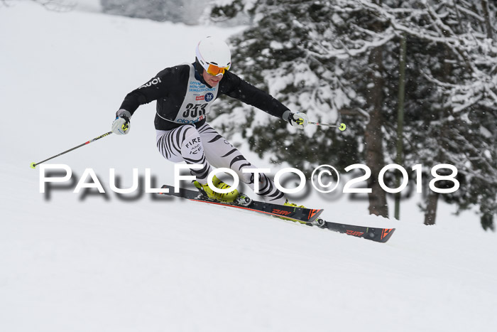 Münchner Skimeisterschaft 2018
