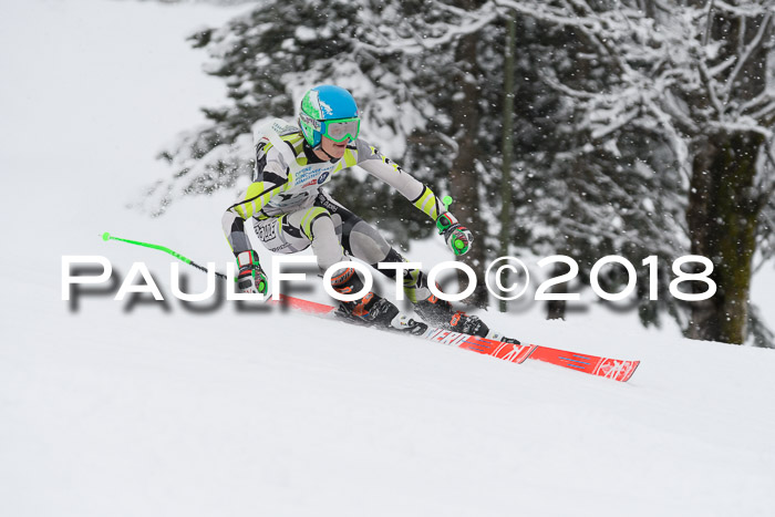 Münchner Skimeisterschaft 2018