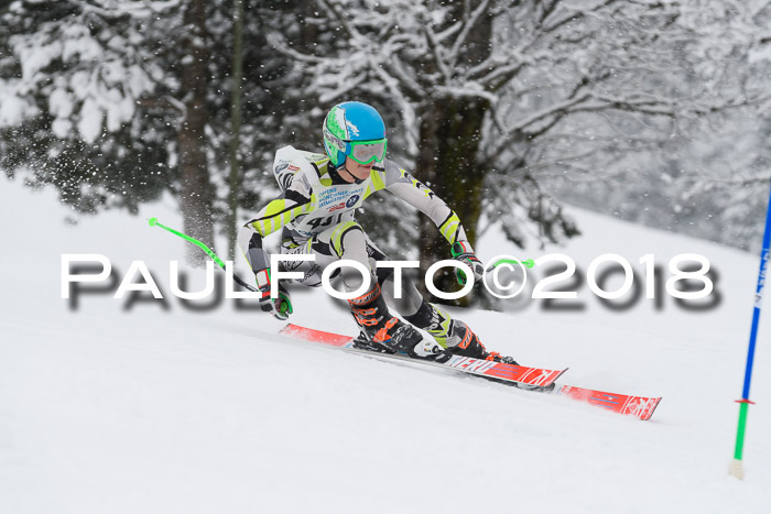 Münchner Skimeisterschaft 2018
