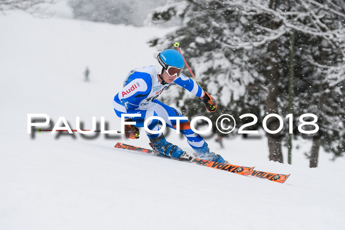 Münchner Skimeisterschaft 2018