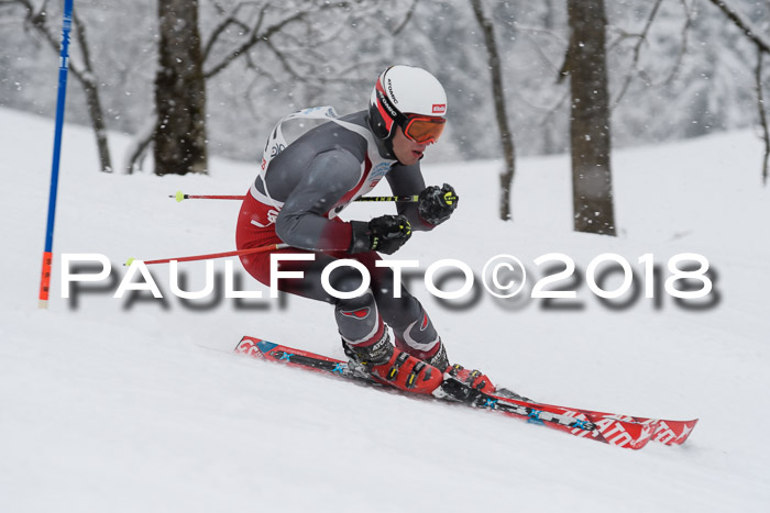 Münchner Skimeisterschaft 2018