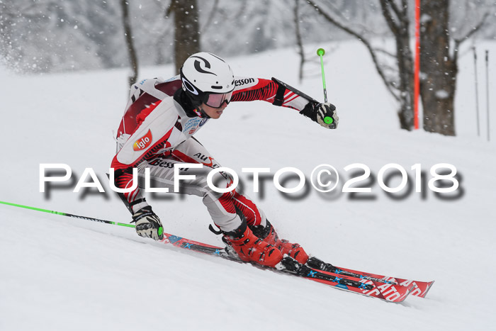 Münchner Skimeisterschaft 2018