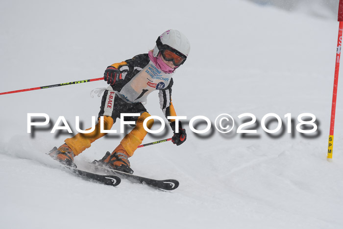 Münchner Skimeisterschaft 2018