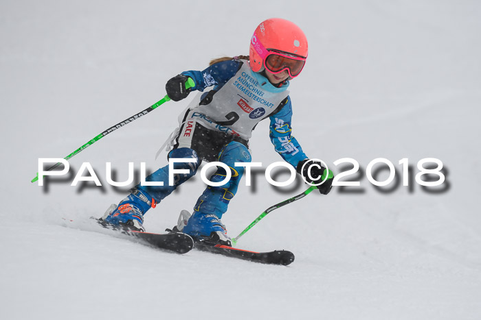 Münchner Skimeisterschaft 2018