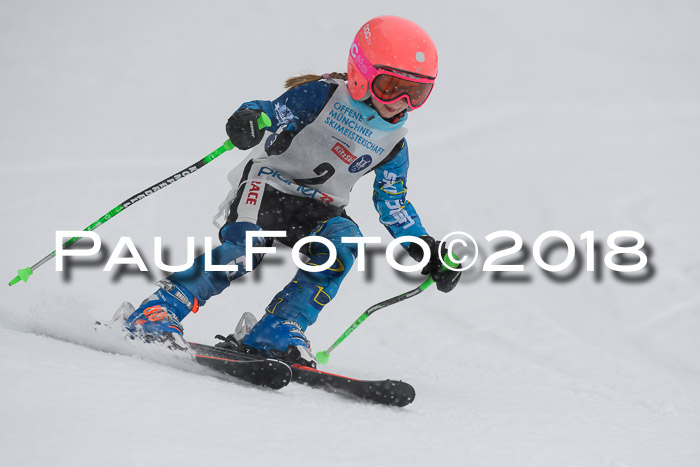 Münchner Skimeisterschaft 2018