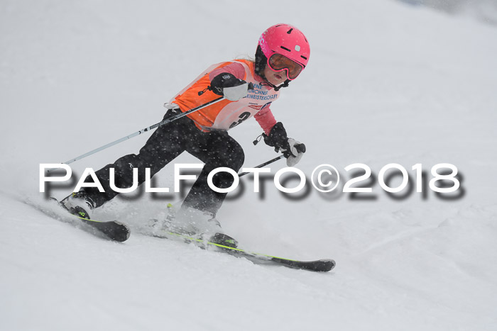 Münchner Skimeisterschaft 2018