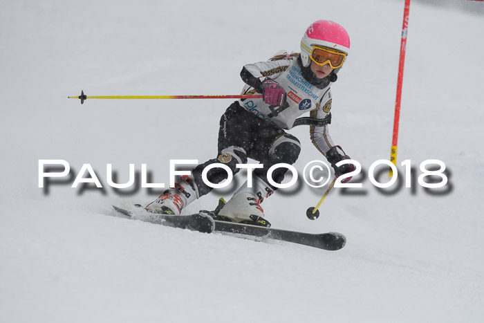 Münchner Skimeisterschaft 2018