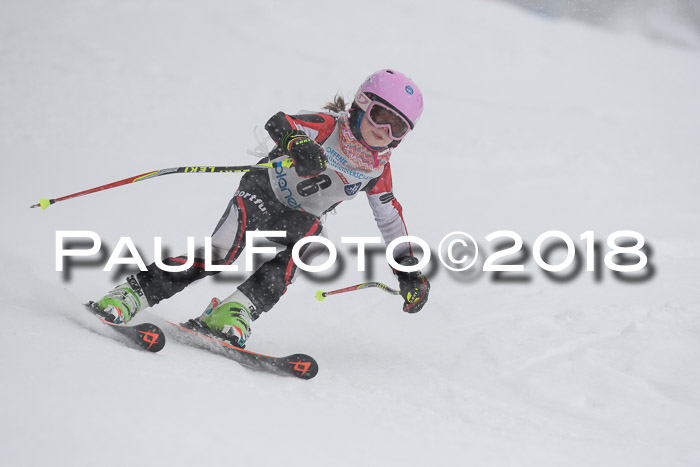 Münchner Skimeisterschaft 2018