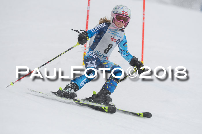 Münchner Skimeisterschaft 2018